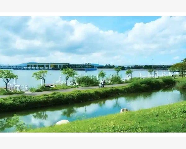 为什么补气血能治失眠？中医解读