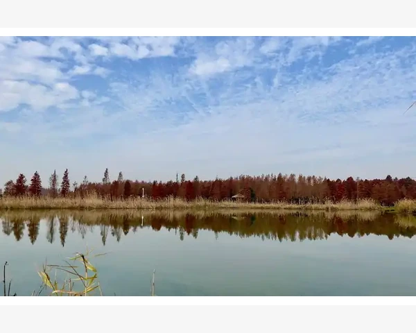 儿童脾胃气虚引起的便秘，爸妈你注意了吗？
